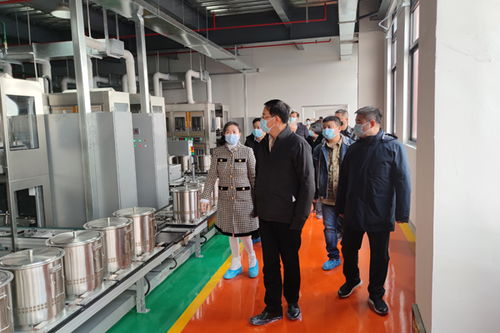 張恩迪率隊赴同祺醫(yī)藥科技走訪調研