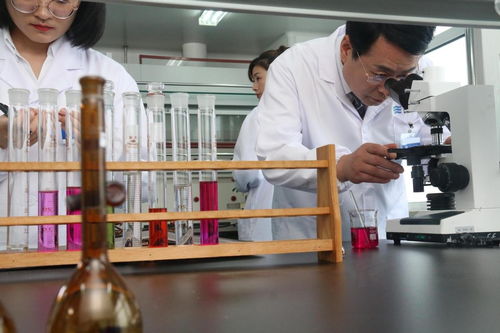 好藥惠萬家 沃華心可舒片轉(zhuǎn)入醫(yī)保甲類目錄，醫(yī)藥科技點亮健康未來